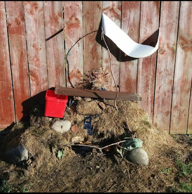 Bug House