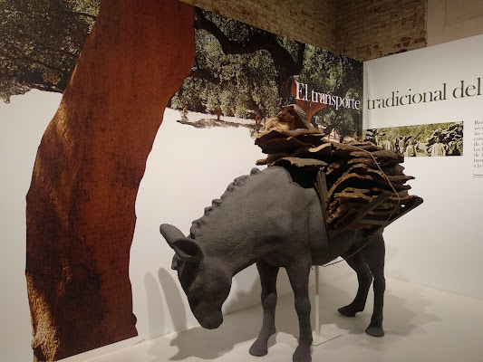 Cork Museum