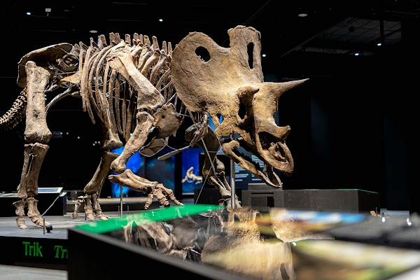 Dinosauria Museum Prague