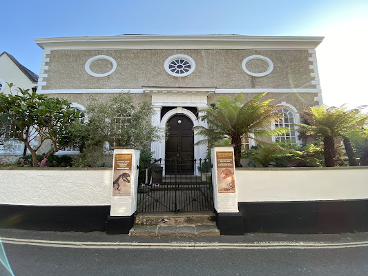 Dinosaurland Fossil Museum