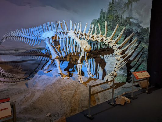 Egidio Feruglio Paleontological Museum
