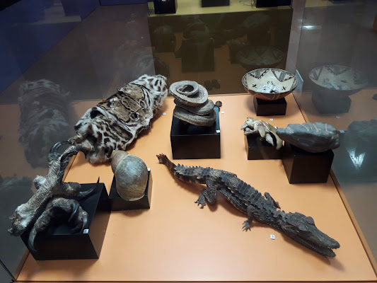 Ethno-Archaeological Museum Puyo