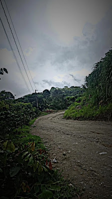 FINCA BUENOS AIRES