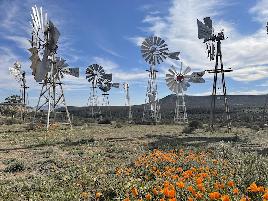 Fred Turner Museum Loeriesfontein