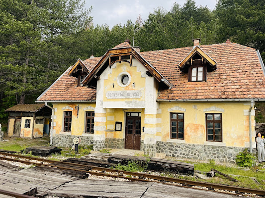 Golubici Station