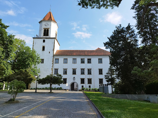 Grad Ormož