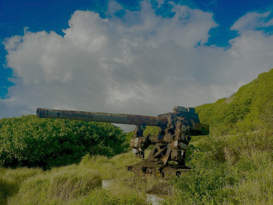 HARP SUPERGUN