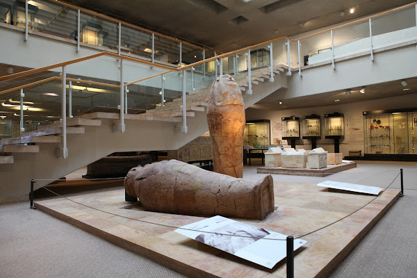 Hecht Museum