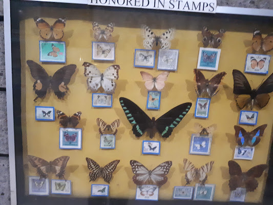 Jumalon Butterfly Sanctuary And Art Gallery
