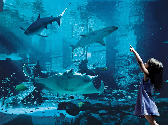 Marine Habitat At Atlantis