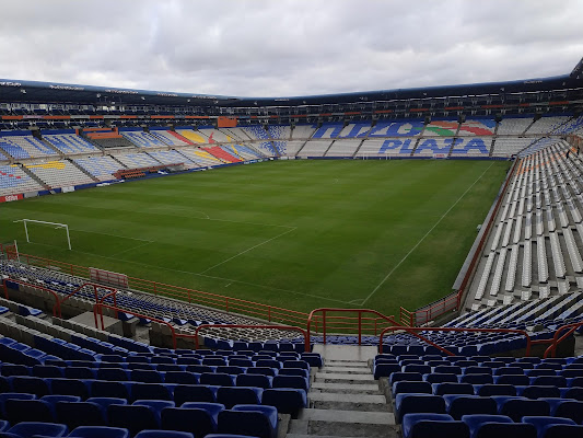 Mundo Tuzo