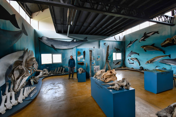 Museo Acatushún