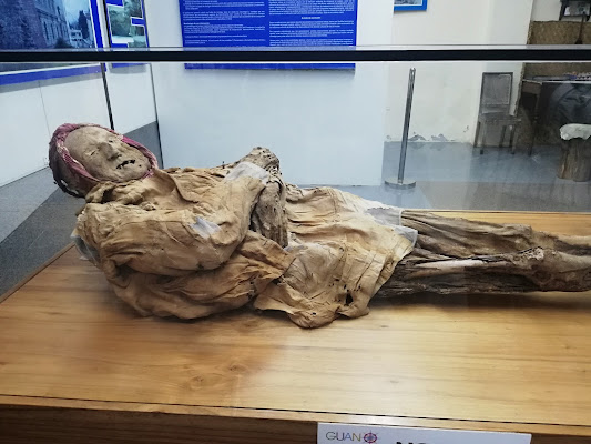 Museo de la Momia