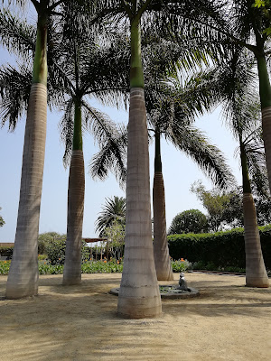 Museo JardΓn de Los Sentidos