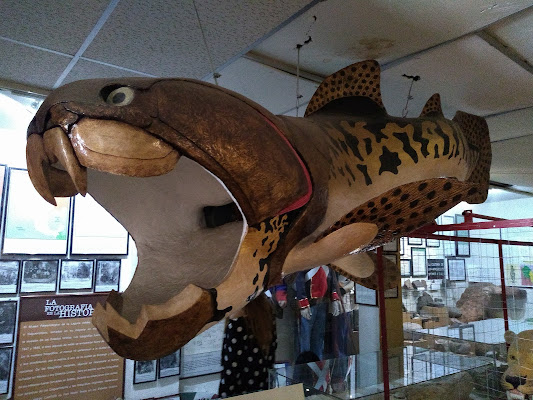 Museo Paleontológico de la Laguna