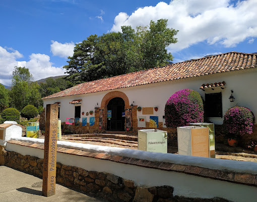 Museo Paleontológico de Villa de Leyva