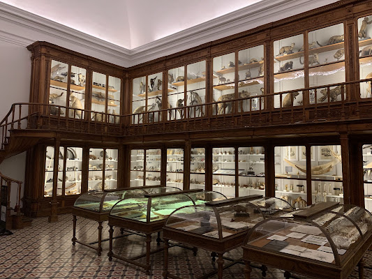 Museu da Ciência da Universidade de Coimbra