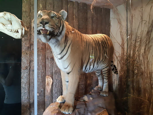 Museu de Ciências Naturais