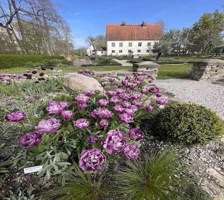 Museum Lars Jonsson