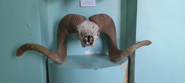 Museum of Dornod, Дорнод аймгийн музей