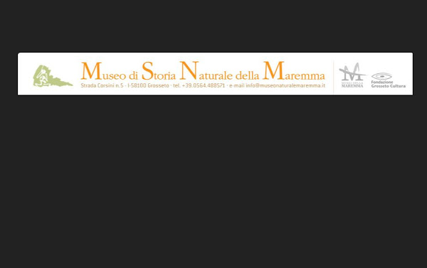 Museum of Natural History of the Maremma