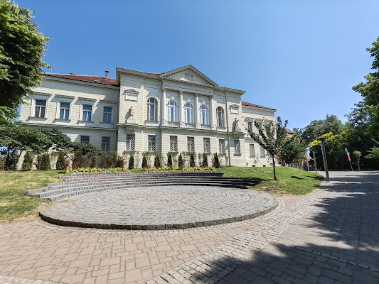 Museum of Srem