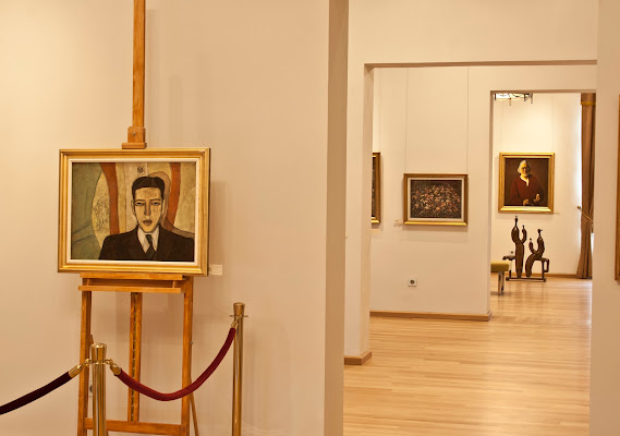 Muzeul de ArtΔ Tulcea