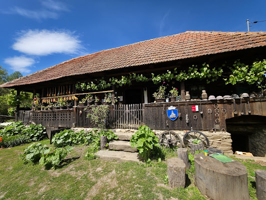 Muzeul Satului HaΘegan