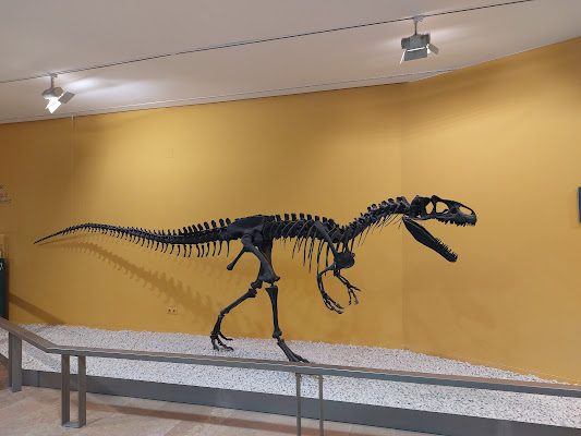 Natural Science Museum of Valencia