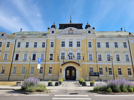 Nitra Gallery