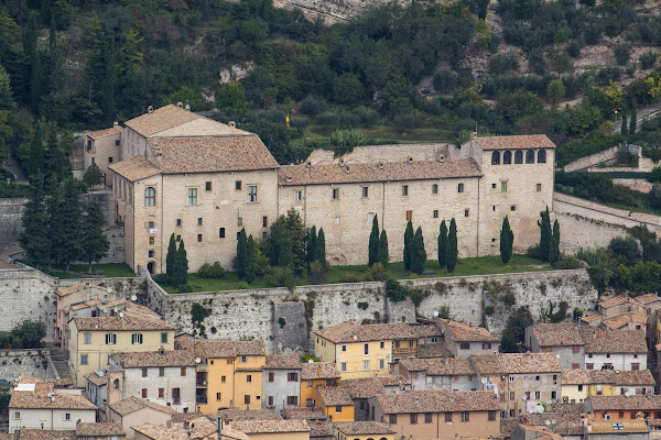 Pinacoteca civica "A.Vernarecci"