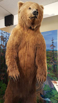 Pratt Museum