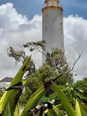 Ragged Point