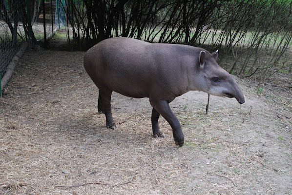 Rivne Zoo