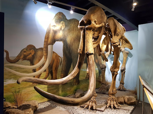 Shropshire Hills Discovery Centre