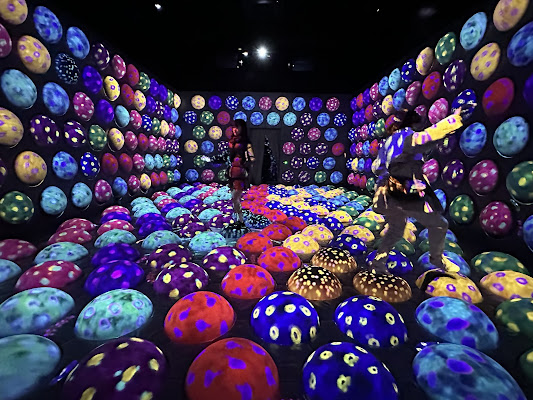 teamLab Forest Fukuoka
