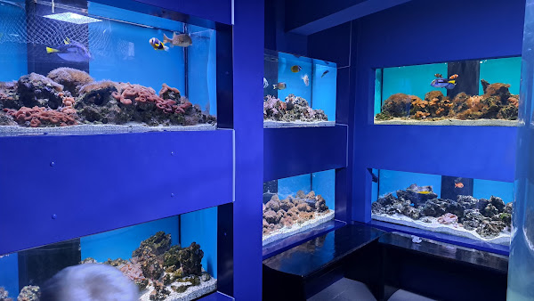 "The Danube Delta" Museum of Ecotourism