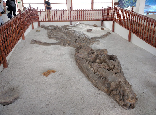 The Fossil Community Museum