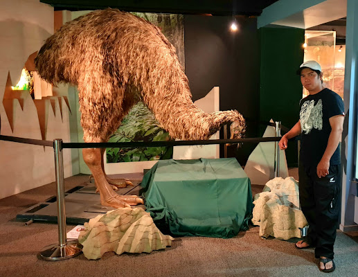 Waitomo Caves Museum