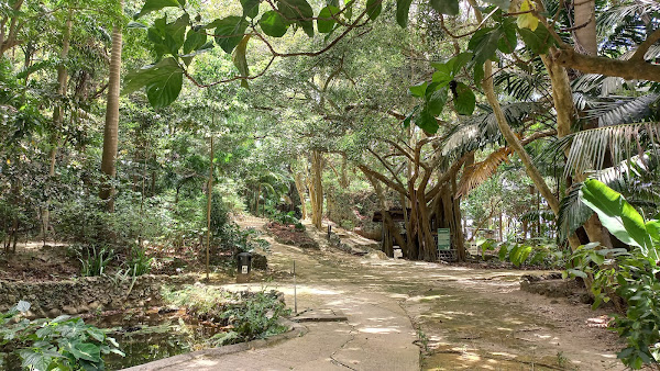 Welchman Hall Gully