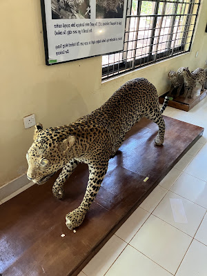 Wildlife Museum