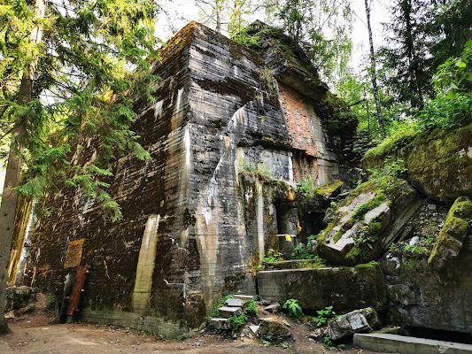 Wolf's Lair